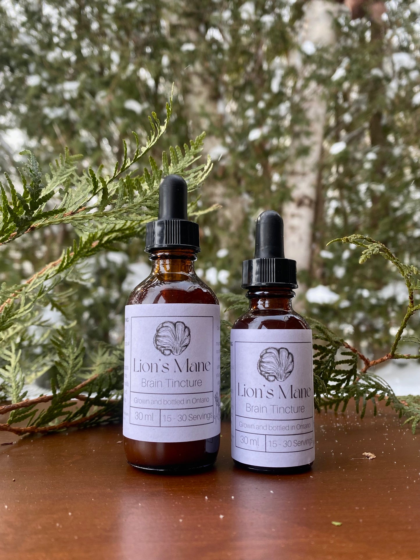 Lion's Mane Tincture
