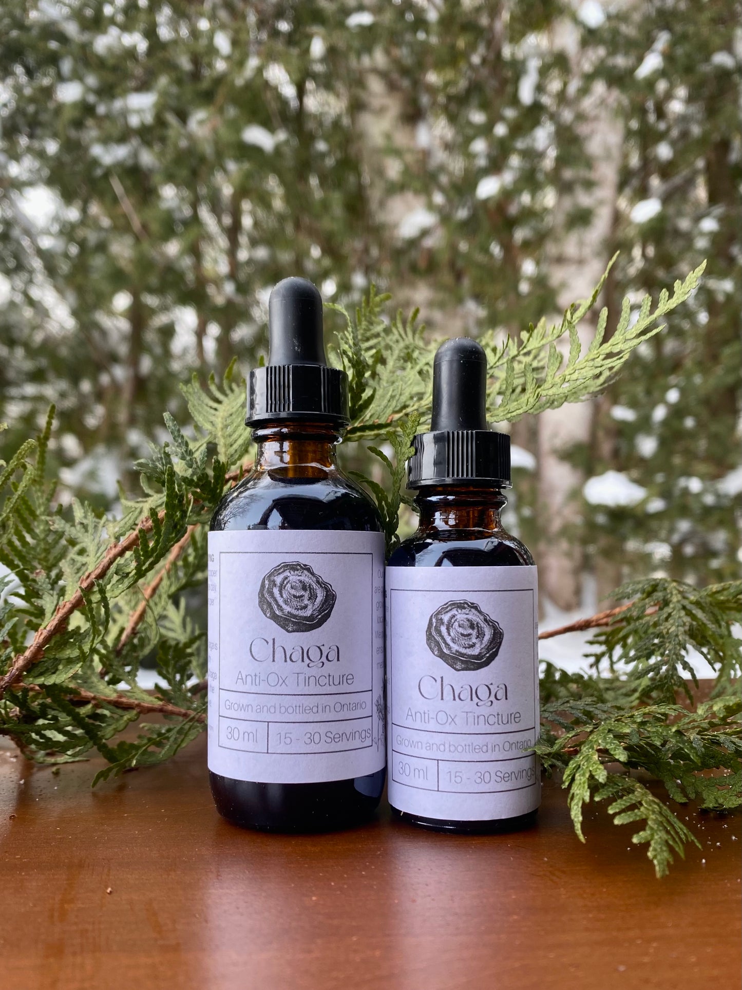 Chaga Tincture