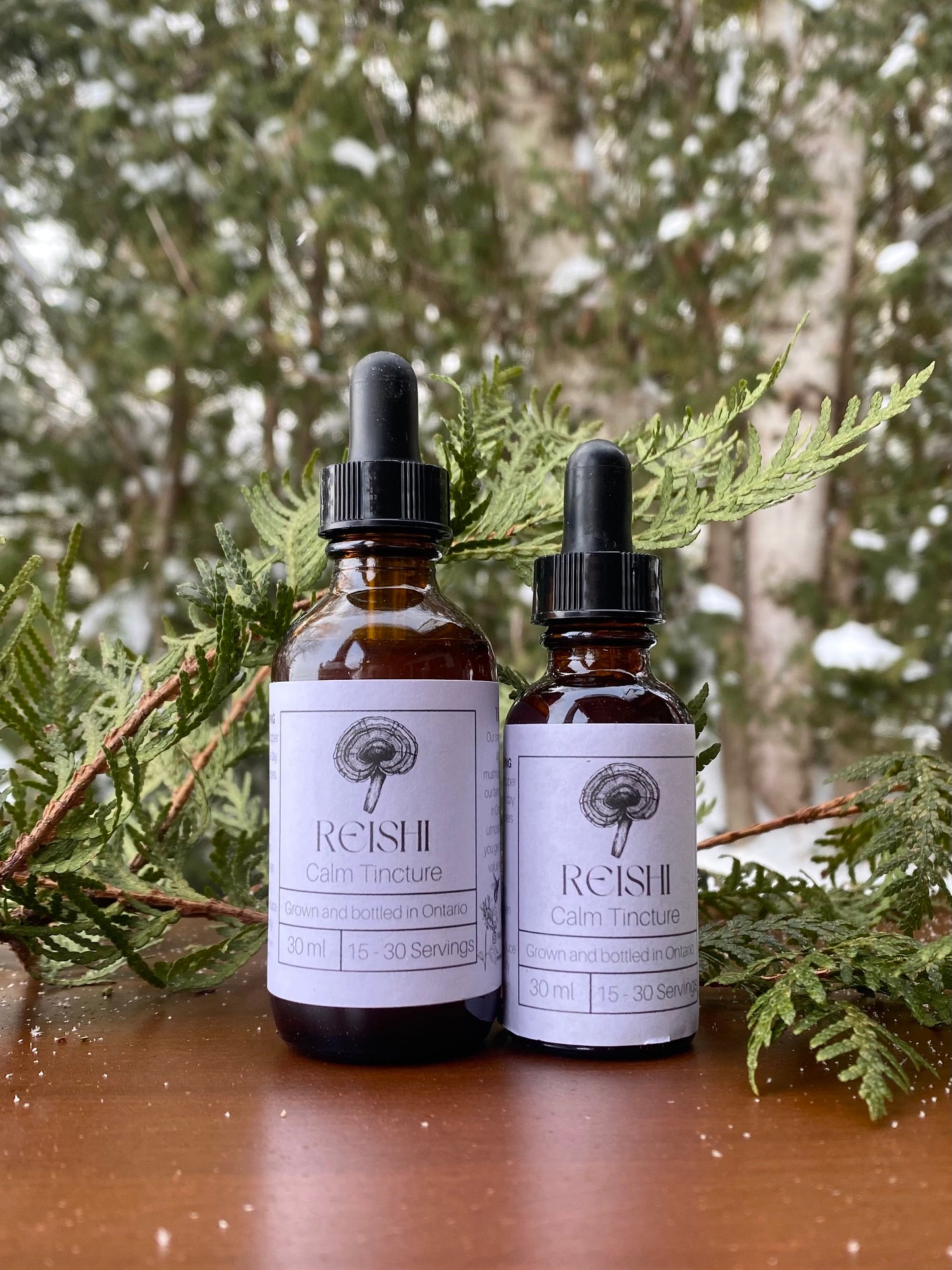Reishi Tincture